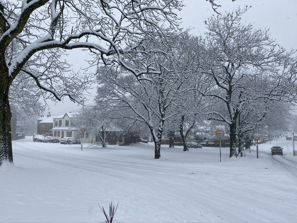 The start of Finkle Land and the Indian Restaurant covered in snow