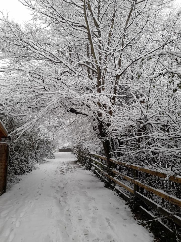 Path at the back of Gildersome Primary School with footprints in the snow