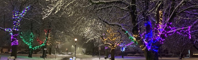 Town Street at night lit up by colourful lights in the trees in the snow