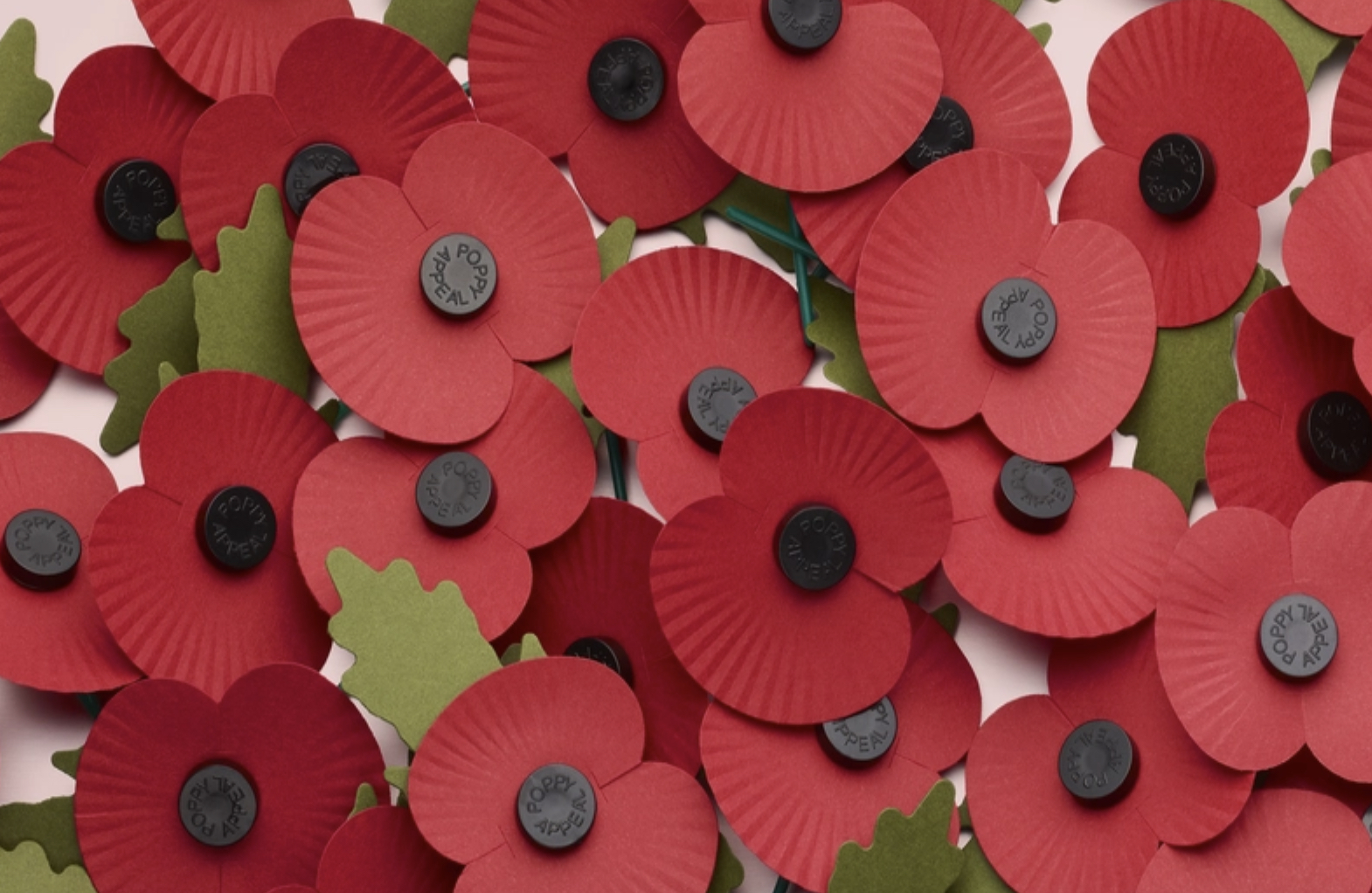 Picture of Poppy Appeal poppies filling the page