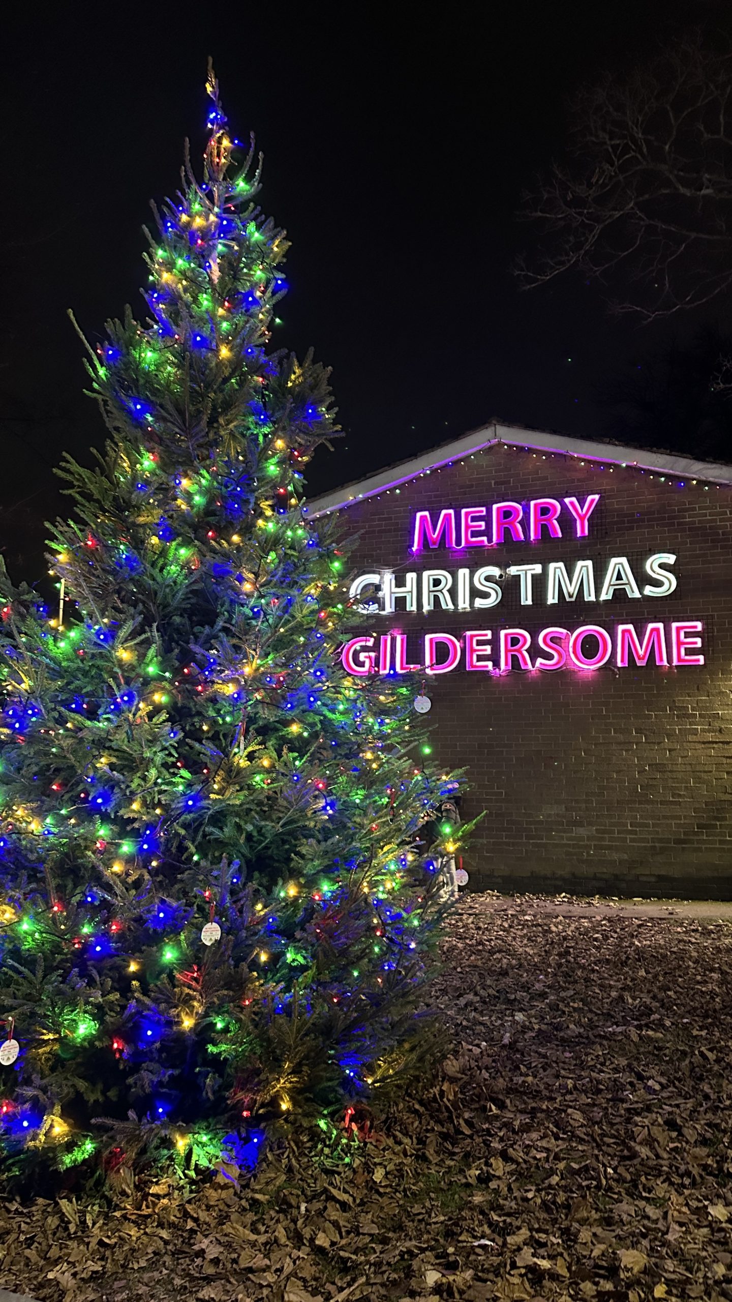 Christmas Tree lit up with lights. Merry Christmas Gildersome lit up in lights